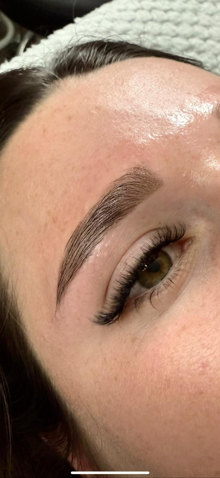 Eyebrow Wax & Tint